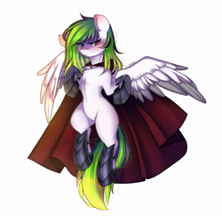 Size: 3000x3000 | Tagged: safe, artist:timkaa, artist:yuozka, imported from derpibooru, oc, oc only, pegasus, pony, armor, cape, clothes, female, mare, solo, unconvincing armor