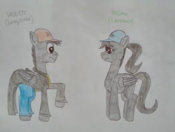 Size: 1296x972 | Tagged: safe, artist:wouterthebelgian1999, imported from derpibooru, oc, oc only, oc:gradient, oc:grayscale, pony, clothes, rule 63, traditional art