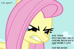 Size: 1080x720 | Tagged: safe, edit, edited screencap, imported from derpibooru, screencap, fluttershy, putting your hoof down, angry, cropped, implied goldie delicious, reality ensues, text