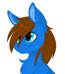 Size: 876x1000 | Tagged: safe, artist:melodytheartpony, imported from derpibooru, oc, oc only, oc:flying ace, bust, chest fluff, cute, ear fluff, fluffy, male, portrait, simple background, transparent background