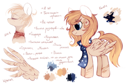 Size: 2449x1632 | Tagged: safe, artist:mirtash, imported from derpibooru, oc, oc only, oc:splity, pegasus, pony, clothes, cyrillic, ponysona, rcf community, reference sheet, russian, scarf