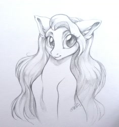 Size: 1616x1717 | Tagged: safe, artist:kerydarling, artist:rrusha, imported from derpibooru, pony, monochrome, solo, traditional art