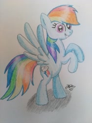 Size: 3120x4160 | Tagged: safe, artist:prinrue, imported from derpibooru, rainbow dash, female, rearing, solo, traditional art