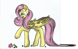 Size: 1024x644 | Tagged: safe, artist:lamanstin, imported from derpibooru, fluttershy, female, flower, solo