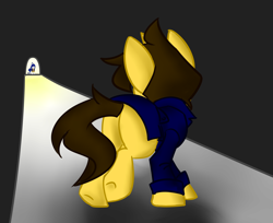 Size: 2700x2200 | Tagged: safe, artist:spheedc, imported from derpibooru, oc, oc:dream chaser, oc:light chaser, earth pony, pony, unicorn, butt, clothes, digital art, facing away, facing each other, female, jacket, male, mare, plot, stallion, tunnel