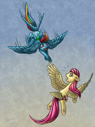 Size: 750x1000 | Tagged: safe, artist:dany-the-hell-fox, imported from derpibooru, fluttershy, rainbow dash, pegasus, pony, augmented tail, duo, female, flying, looking at each other, mare, spread wings, tail feathers, wings