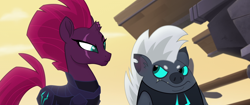 Size: 1920x804 | Tagged: safe, imported from derpibooru, screencap, grubber, tempest shadow, hedgehog, pony, unicorn, my little pony: the movie, armor, broken horn, colored sclera, doubt, duo, eye scar, looking at each other, raised eyebrow, scar, suspicious