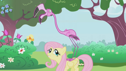 Size: 1280x720 | Tagged: safe, imported from derpibooru, screencap, fluttershy, bird, flamingo, pegasus, pony, season 1, the ticket master, canterlot gardens