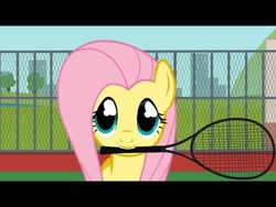 Size: 480x360 | Tagged: safe, artist:agrol, imported from derpibooru, fluttershy, cute, epic fail, everypony plays sports games, fail, funny, mouth hold, shyabetes, tennis racket