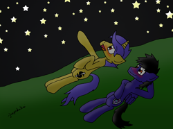 Size: 4160x3092 | Tagged: safe, artist:jrapcdaikari, imported from derpibooru, oc, oc only, oc:gravity check, oc:paladin colt, implied gay, night, stargazing, stars, traditional art