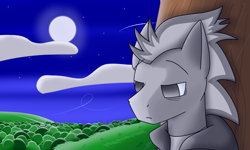 Size: 5000x3000 | Tagged: safe, artist:silver dash, imported from derpibooru, oc, oc only, oc:silver dash, pegasus, pony, bust, clothes, cloud, face, forest, hoodie, moon, night, sad, tree