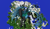 Size: 1440x838 | Tagged: safe, artist:jennilah, artist:theunknown644, imported from derpibooru, queen chrysalis, changeling, changeling queen, pony, 3d, crossover, female, game screencap, minecraft, minecraft pixel art, pixel art, solo