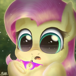 Size: 1500x1500 | Tagged: safe, artist:phoenixrk49, imported from derpibooru, fluttershy, butterfly, pegasus, pony, amazed, bust, cute, female, looking at something, mare, open mouth, portrait, shyabetes, solo, underhoof