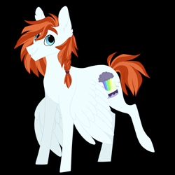 Size: 2000x2000 | Tagged: safe, artist:silcybell, imported from derpibooru, oc, oc:rain song, pegasus, pony, black background, braid, magical lesbian spawn, male, offspring, parent:rainbow dash, parent:spitfire, parents:spitdash, simple background, solo, stallion, vector