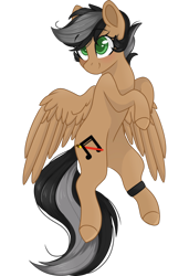 Size: 1024x1500 | Tagged: safe, artist:cinnamontee, imported from derpibooru, oc, oc only, oc:artsong, pegasus, pony, female, mare, simple background, solo, transparent background