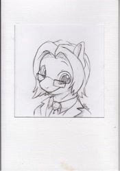 Size: 1250x1786 | Tagged: safe, artist:dilarus, deleted from derpibooru, imported from derpibooru, oc, oc only, pony, bust, glasses, grayscale, looking at you, monochrome, necktie, pencil drawing, portrait, simple background, solo, traditional art, white background