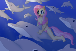 Size: 5243x3495 | Tagged: safe, artist:sergeant16bit, imported from derpibooru, fluttershy, anthro, dolphin, pegasus, animal, belly button, bikini, breasts, clothes, female, ocean, riding, solo, swimsuit, underwater, watershy