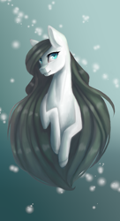 Size: 1356x2492 | Tagged: safe, artist:huayan, imported from derpibooru, oc, oc only, pony, female, mare, solo