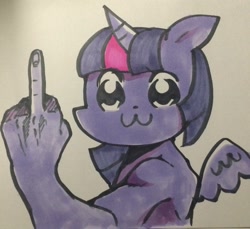 Size: 1024x936 | Tagged: safe, artist:91o42, imported from derpibooru, twilight sparkle, alicorn, anthro, female, looking at you, mare, middle finger, pop team epic, simple background, solo, twilight sparkle (alicorn), vulgar