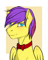 Size: 1477x1854 | Tagged: artist needed, safe, imported from derpibooru, oc, oc only, oc:shining glow, pegasus, pony, blue eyes, bowtie, bust, male, portrait, simple background, solo, stallion