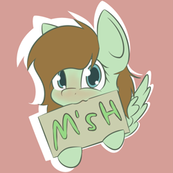 Size: 2811x2811 | Tagged: safe, artist:lofis, imported from derpibooru, oc, oc only, oc:mint chocolate, pegasus, pony, advertisement, blushing, cute, discord (program), female, holding, looking at you, mare, nibbling, sign, solo, spread wings, text, wings, writing