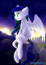 Size: 3507x4960 | Tagged: safe, artist:tokokami, imported from derpibooru, oc, oc only, pony, solo, sunrise