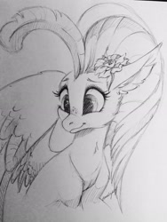 Size: 2448x3264 | Tagged: safe, artist:faline-art, imported from derpibooru, princess skystar, classical hippogriff, hippogriff, my little pony: the movie, cute, female, flower, flower in hair, grayscale, heart eyes, monochrome, pencil drawing, simple background, skyabetes, smiling, solo, traditional art, white background, wingding eyes, wings