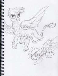 Size: 1786x2358 | Tagged: safe, artist:dilarus, deleted from derpibooru, imported from derpibooru, gilda, rainbow dash, griffon, pegasus, pony, duo, female, flying, grayscale, mare, monochrome, signature, simple background, sketch, traditional art, white background