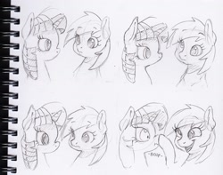 Size: 1801x1417 | Tagged: safe, artist:dilarus, deleted from derpibooru, imported from derpibooru, derpy hooves, twilight sparkle, alicorn, pegasus, pony, boop, bust, comic, duo, female, grayscale, looking at each other, mare, monochrome, noseboop, scrunchy face, sketch, this will end in jail time, traditional art, treason, twilight sparkle (alicorn)