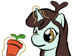 Size: 840x640 | Tagged: safe, artist:phat_guy, derpibooru exclusive, imported from derpibooru, sprout greenhoof, pony, unicorn, bust, female, flower pot, glowing horn, las pegasus resident, levitation, looking at something, magic, mare, plant, portrait, potted plant, simple background, solo, sprout, telekinesis, terracotta, white background