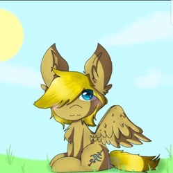 Size: 1434x1442 | Tagged: safe, artist:phatom reaper, imported from derpibooru, oc, oc only, oc:winds (old version), pegasus, pony, sitting, solo