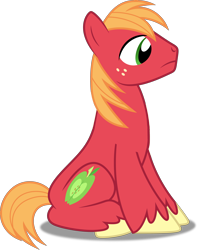 Size: 4218x5000 | Tagged: safe, artist:dashiesparkle, artist:dashiesparkle edit, edit, editor:slayerbvc, imported from derpibooru, vector edit, big macintosh, earth pony, pony, hearts and hooves day (episode), .svg available, absurd resolution, accessory-less edit, cute, macabetes, male, missing accessory, simple background, sitting, solo, stallion, transparent background, vector