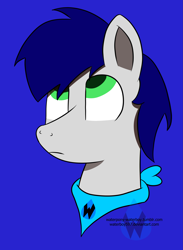 Size: 2293x3126 | Tagged: safe, artist:waterboy597, imported from derpibooru, oc, oc only, oc:waterpony, pony, bust, portrait, simple background