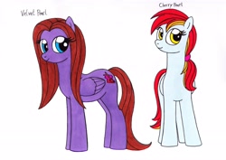 Size: 3488x2469 | Tagged: safe, artist:killerteddybear94, imported from derpibooru, oc, oc:cherry pearl, oc:velvet pearl, pegasus, pony, blue eyes, brown mane, brown tail, duo, female, mare, ponytail, sisters, smiling, traditional art, yellow eyes