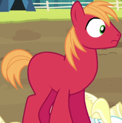 Size: 403x408 | Tagged: safe, edit, edited screencap, imported from derpibooru, screencap, big macintosh, earth pony, pony, brotherhooves social, cropped, male, missing accessory, missing cutie mark, nude edit, nudity, solo, stallion
