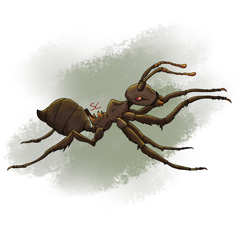 Size: 2000x2000 | Tagged: safe, artist:sourcherry, imported from derpibooru, ant, insect, fallout equestria, ambiguous gender, animal, giant ant, mutant manual, solo