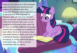 Size: 1032x720 | Tagged: safe, imported from derpibooru, screencap, twilight sparkle, alicorn, amending fences, book, couch, cutie mark, headcanon, lamp, pillow, sitting, twilight sparkle (alicorn)