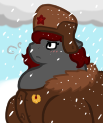 Size: 290x346 | Tagged: safe, artist:queenfrau, imported from derpibooru, oc, oc only, oc:queen frau, pony, blizzard, chubby, clothes, coat, fat, hat, snow, snowfall, solo, soviet, soviet union, ushanka