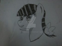 Size: 1024x768 | Tagged: safe, artist:splashsart, imported from derpibooru, oc, oc only, pegasus, pony, bust, grayscale, monochrome, portrait, smiling, solo, traditional art, watermark