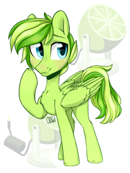 Size: 3013x4000 | Tagged: safe, artist:oh no, imported from derpibooru, oc, oc only, oc:lime zest, pegasus, pony, adorable face, big eyes, cute, male, solo, thinking