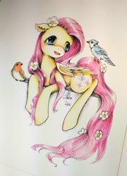 Size: 2304x3204 | Tagged: safe, artist:claire lixi, imported from derpibooru, fluttershy, bird, blue jay, pegasus, pony, robin (bird), blushing, cute, female, floppy ears, flower, flower in hair, flower in tail, folded wings, looking at something, mare, open mouth, prone, robin, shyabetes, traditional art