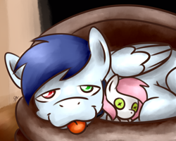 Size: 1280x1024 | Tagged: safe, artist:sugar morning, imported from derpibooru, oc, oc only, oc:slipstream, oc:sugar morning, dog pony, pegasus, pony, boof, boofy, boofy is a good boy, cute, dogbed, doll, female, heterochromia, male, oc x oc, plushie, shipping, sleepy, stallion, sugarstream, tired, toy, woof