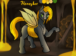 Size: 4689x3516 | Tagged: safe, artist:ampderg, imported from derpibooru, oc, oc only, oc:honeybee, changeling, changeling queen, changeling queen oc, fangs, female, food, honey, reference sheet, solo, tail wrap, yellow changeling