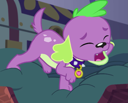 Size: 871x702 | Tagged: safe, imported from derpibooru, screencap, spike, spike the regular dog, dog, equestria girls, legend of everfree, cropped, eyes closed, male, paws