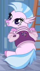 Size: 565x999 | Tagged: safe, imported from derpibooru, silverstream, classical hippogriff, hippogriff, season 8, spoiler:s08, clothes, cute, diastreamies, jacket, letterman jacket, looking at you, looking back, looking back at you, varsity jacket