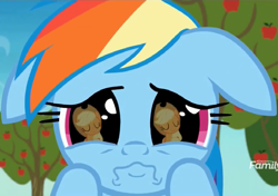 Size: 1023x720 | Tagged: safe, imported from derpibooru, screencap, applejack, rainbow dash, earth pony, pegasus, pony, grannies gone wild, apple tree, close-up, cropped, cute, daaaaaaaaaaaw, dashabetes, discovery family logo, female, floppy ears, hnnng, mare, puppy dog eyes, rainbow dash is best facemaker, reflection, sad, sadorable, tree, wavy mouth, weapons-grade cute, wide eyes