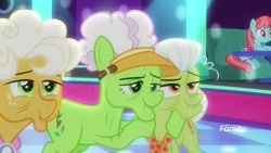 Size: 1920x1080 | Tagged: safe, imported from derpibooru, screencap, auntie applesauce, goldie delicious, granny smith, earth pony, pony, grannies gone wild, discovery family logo, elderly, female, mare