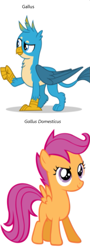 Size: 417x1154 | Tagged: safe, edit, imported from derpibooru, vector edit, gallus, scootaloo, griffon, gallus the rooster, know the difference, scientific name, scootachicken, vector, wrong aspect ratio