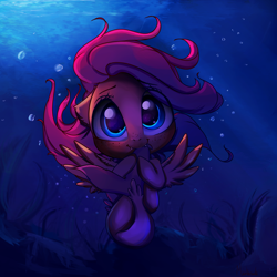 Size: 3000x3000 | Tagged: safe, artist:miokomata, imported from derpibooru, fluttershy, seapony (g4), biting, blushing, bubble, cute, cute little fangs, fangs, female, freckles, looking at you, mare, miokomata is trying to murder us, miokomataz is trying to kill us, seaponified, seapony fluttershy, shyabetes, solo, species swap, spread wings, tail bite, underwater, water, weapons-grade cute, wings