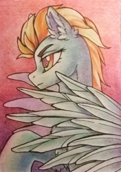 Size: 760x1080 | Tagged: safe, artist:dragonataxia, imported from derpibooru, lightning dust, pegasus, pony, aceo, bust, colored pencil drawing, ear fluff, female, gradient background, mare, portrait, profile, solo, traditional art